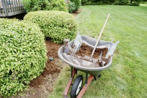 wheelbarrow-full-of-mulch-in-a-yard-2024-10-18-07-27-08-utc (1)